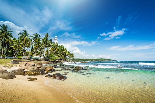 Bello paesaggio della spiaggia nello sri lanka