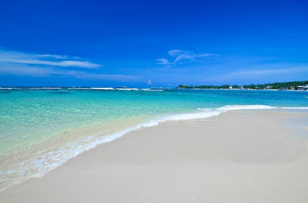 Bello paesaggio della spiaggia nello sri lanka