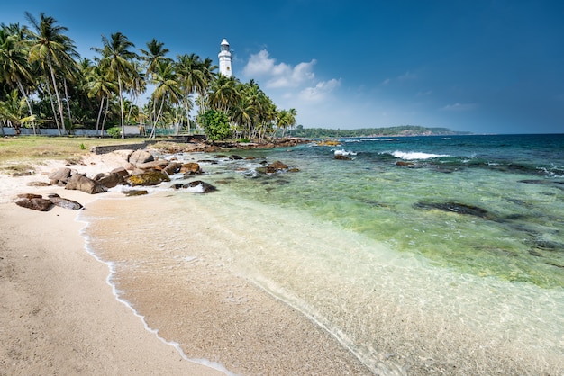 Beautiful beach landscape in Sri Lanka