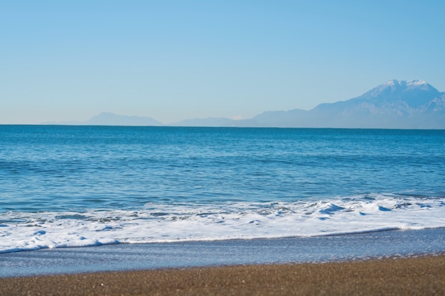 Beautiful Beach and Landscape