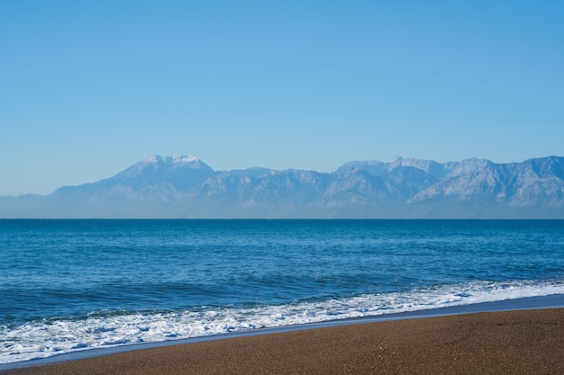 Beautiful Beach and Landscape