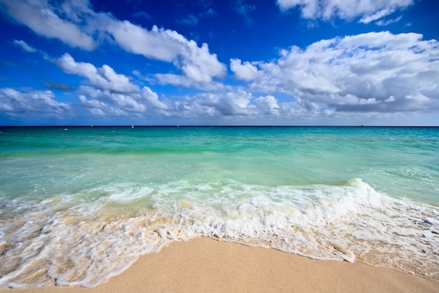 Beautiful beach and sea