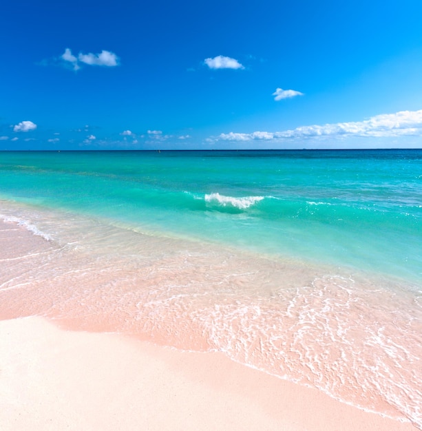 Beautiful beach and sea