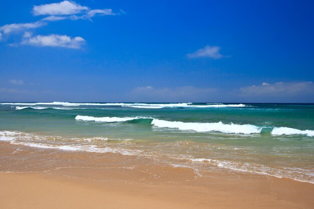 Beautiful beach in summer