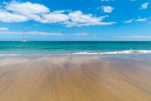 Beautiful beach and tropical sea landscape