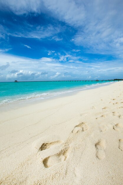 Bella spiaggia e mare tropicale. paesaggio di viaggio