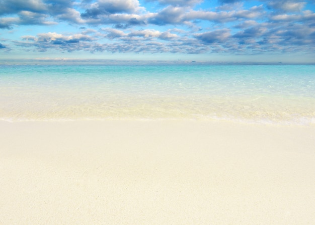 Beautiful beach and tropical sea