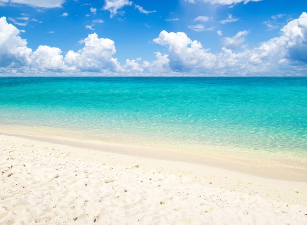 Beautiful beach and tropical sea