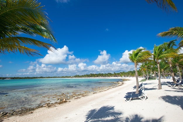 Bellissima spiaggia e mare tropicale