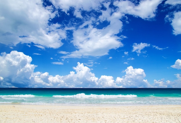 Bellissima spiaggia e mare tropicale