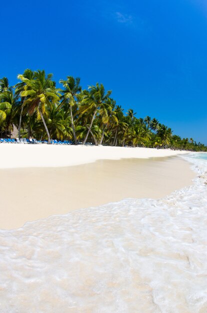 Beautiful beach and tropical sea