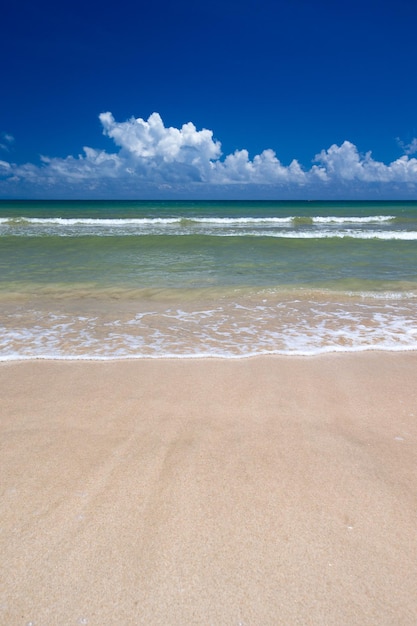 Beautiful beach and tropical sea