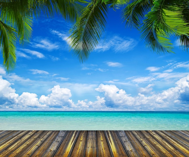 Beautiful beach and tropical sea