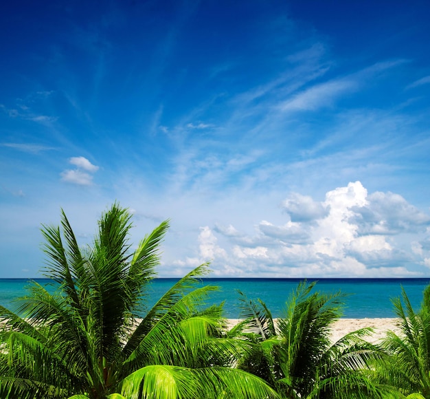 Beautiful beach and tropical sea