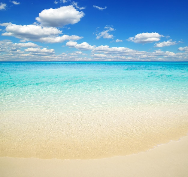 Beautiful beach and tropical sea