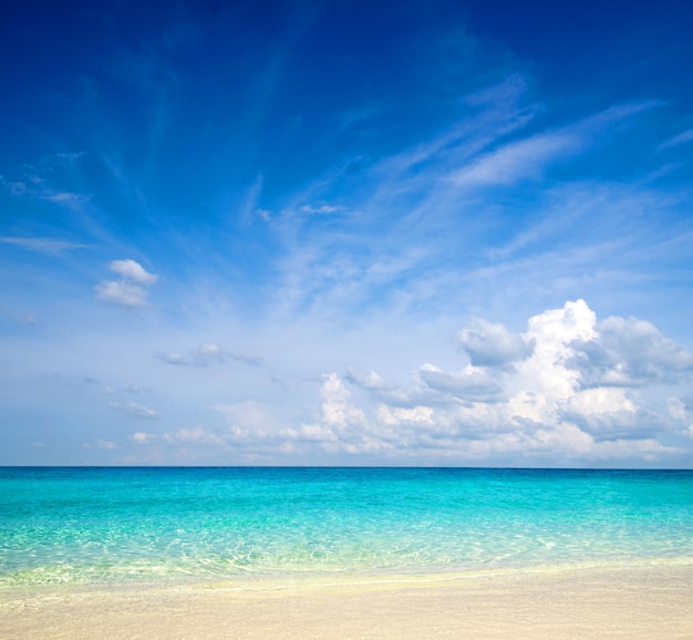 Beautiful beach and tropical sea