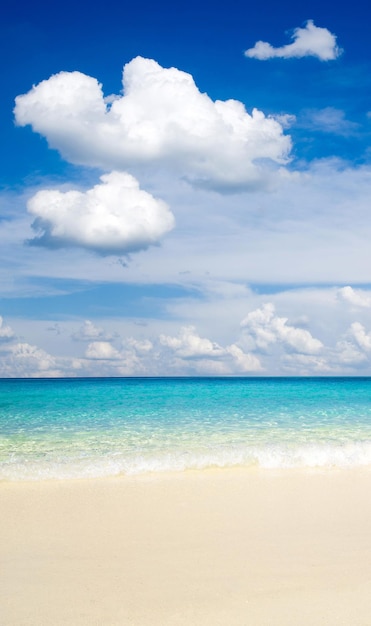 Beautiful beach and tropical sea