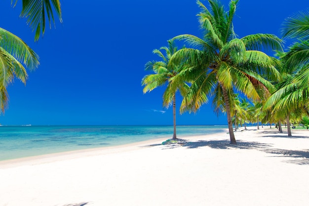 Beautiful beach and tropical sea