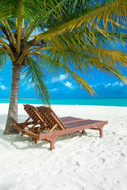 Beautiful beach and tropical sea