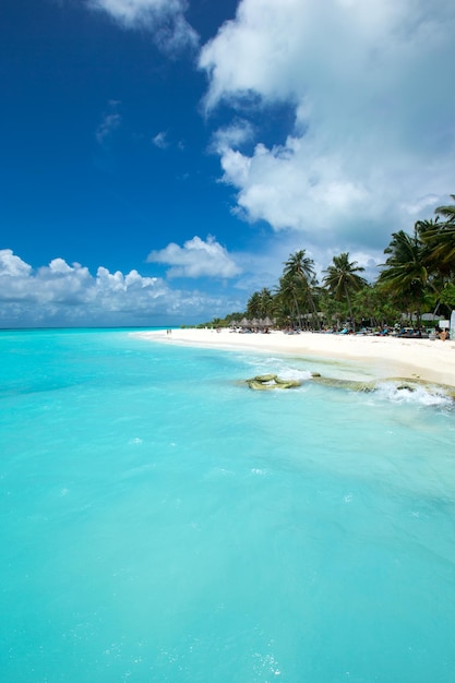 Beautiful beach and tropical sea