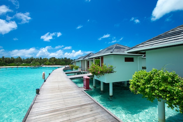 Foto bella spiaggia e mare tropicale