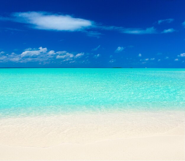 beautiful beach and tropical sea