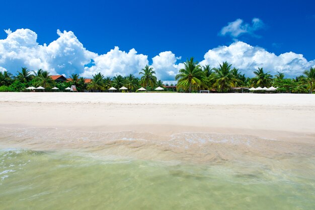 Beautiful beach and tropical sea