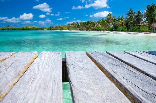 beautiful beach and tropical sea