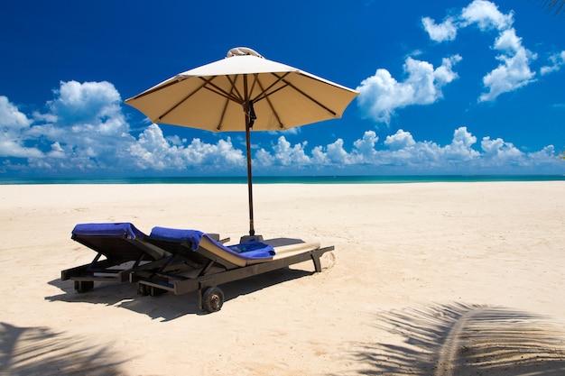 Beautiful beach and tropical sea