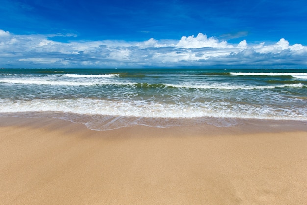 Beautiful beach and tropical sea