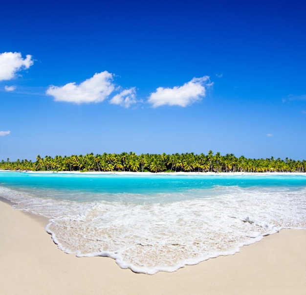 Beautiful beach and tropical seaxA