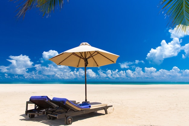 Photo beautiful beach. view of nice tropical beach with palms around. holiday and vacation concept.