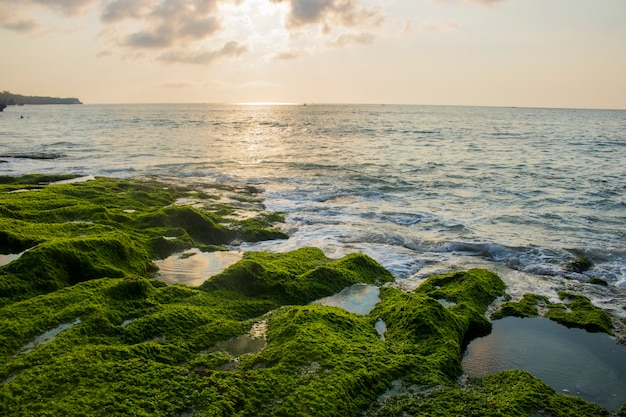 Belle vacanze estive sulla spiaggia