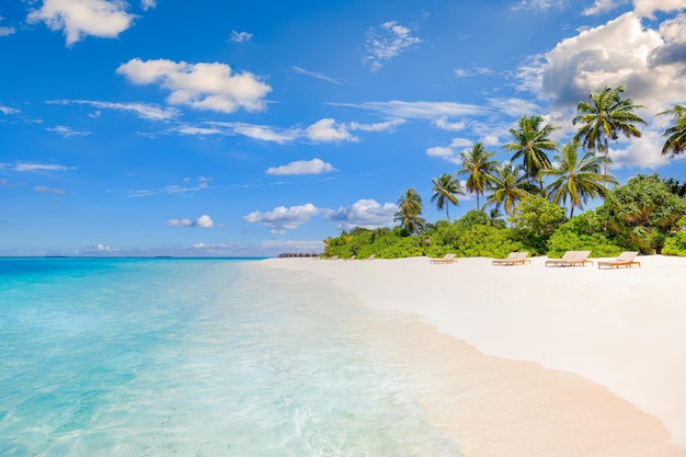 Beautiful beach. View of tropical island sea beach with palms around. Holiday and vacation concept