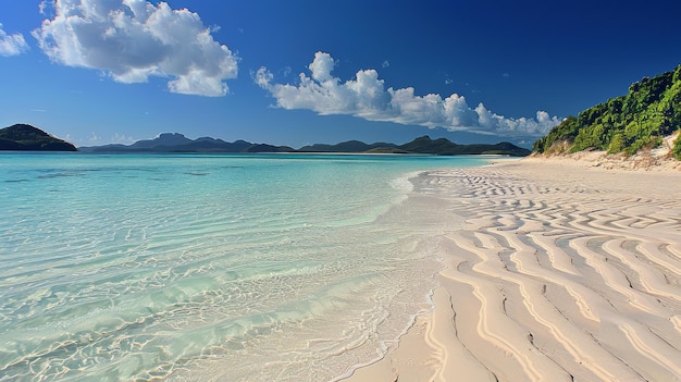 A beautiful beach with a clear blue ocean and white sand