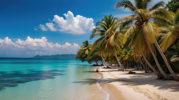 Foto bella spiaggia con palme e mare turchese nell'isola della giamaica