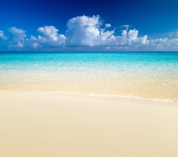 Beautiful beach with transparent sea. Horizon view