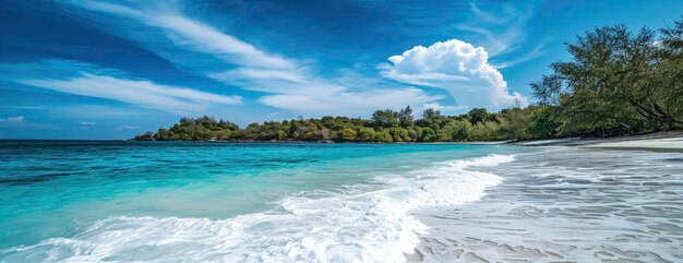 Beautiful beach with trees against blue sky with clouds on sunny summer day