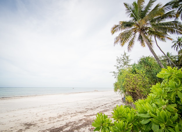 Beautiful beach