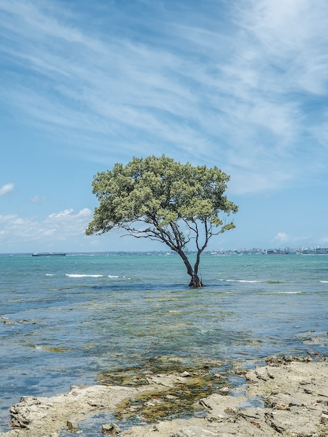 Foto belle spiagge del mondo