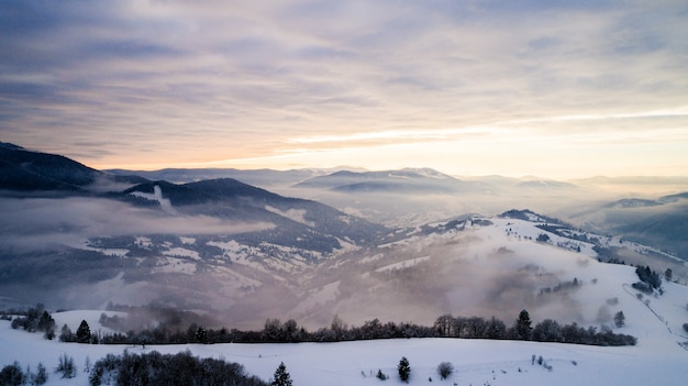 Beautiful bewitching view of mountains and rocks with spruce forest on a frosty winter evening with fog and sunset sun