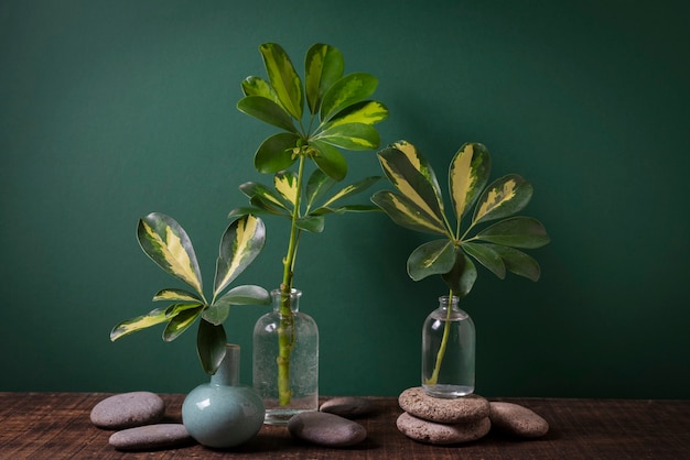 Foto bellissimi dettagli vegetali bicolore