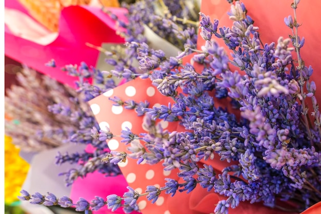 Beautiful big bouquet of lavender flowers closeup