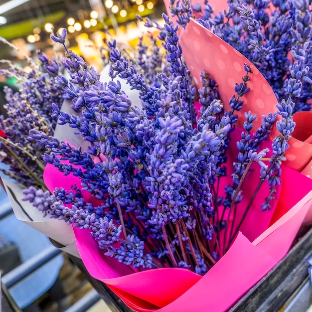 Bellissimo grande mazzo di fiori di lavanda primo piano