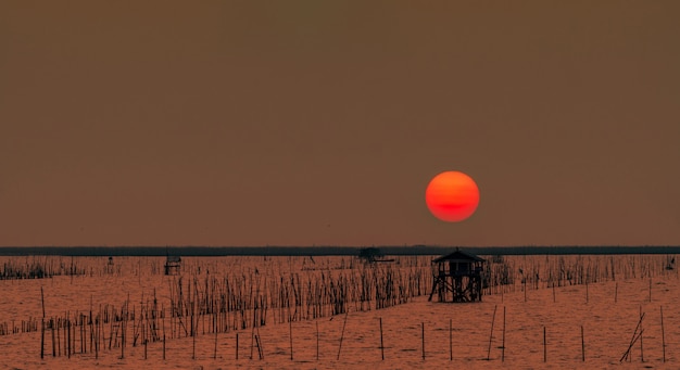 夏の美しい大きな太陽。夕方の海、漁師の小屋、マングローブ林に沈む夕焼け。海岸の竹の棒。海岸の侵食を防ぐために波を遅くする竹の刺繍。