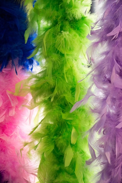Beautiful bird feathers for decorative aims