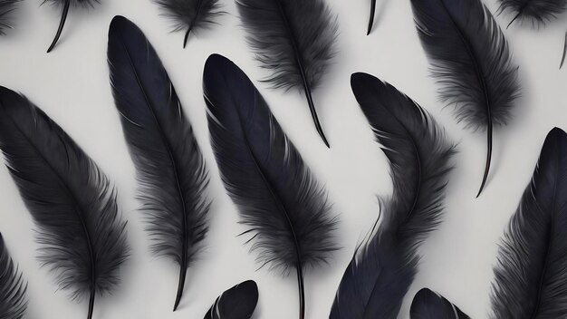 Beautiful black feather texture