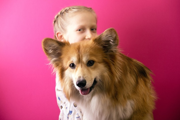 Beautiful blond girl and corgi fluffy   on a pink background