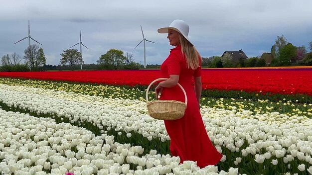 Foto bella ragazza bionda con un vestito rosso e un cappello di paglia bianco con un cesto di vimini su campi di tulipani colorati