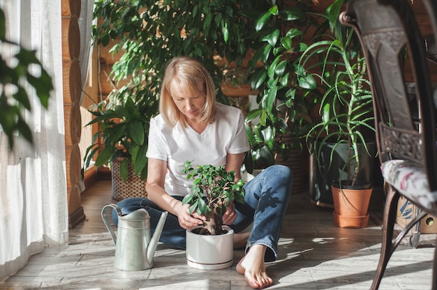 A beautiful blonde woman in beige clothes takes care of a ficus in a white pot home gardening and fl...